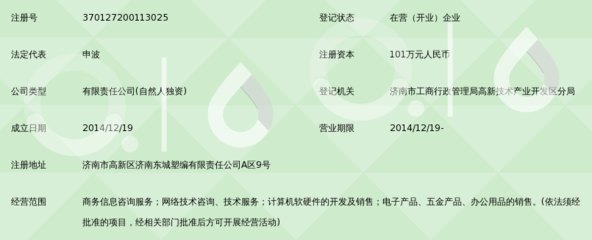 济南蚂蚁金服信息咨询